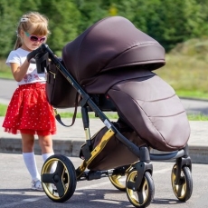 Дитяча коляска 2 в 1 Mikrus Comodo Gold 30